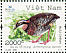 Orange-necked Partridge Arborophila davidi  2006 BirdLife International Sheet