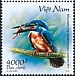 Blyth's Kingfisher Alcedo hercules  2020 Kingfishers 