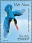 Black-capped Kingfisher Halcyon pileata  2020 Kingfishers  MS