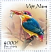 Oriental Dwarf Kingfisher Ceyx erithaca  2020 Kingfishers 10x4000d booklet