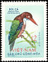White-throated Kingfisher Halcyon smyrnensis  1963 Birds 