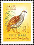 Chinese Francolin Francolinus pintadeanus