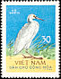 Pacific Reef Heron Egretta sacra  1963 Birds 