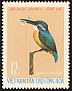 Common Kingfisher Alcedo atthis  1966 Birds 