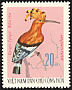 Eurasian Hoopoe Upupa epops  1966 Birds 
