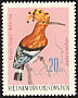 Eurasian Hoopoe Upupa epops