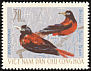 Maroon Oriole Oriolus traillii  1966 Birds 