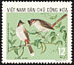 Red-whiskered Bulbul Pycnonotus jocosus  1973 Birds 