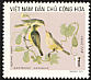 Swinhoe's White-eye Zosterops simplex