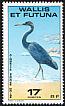 Pacific Reef Heron Egretta sacra  1978 Ocean birds 