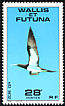 Brown Booby Sula leucogaster  1978 Ocean birds 