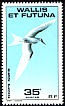 White Tern Gygis alba  1978 Ocean birds 