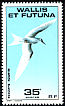 White Tern Gygis alba