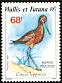 Bar-tailed Godwit Limosa lapponica  1987 Birds 