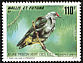 Red-bellied Fruit Dove Ptilinopus greyi  1993 Birds 