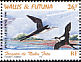 Lesser Frigatebird Fregata ariel  1999 Birds of Nuku Fotu Strip