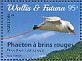 Red-tailed Tropicbird Phaethon rubricauda  2016 Birds Sheet