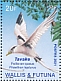 White-tailed Tropicbird Phaethon lepturus  2021 Birds Sheet