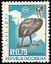 Northern Cassowary Casuarius unappendiculatus  1968 Flora and fauna 