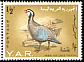 Arabian Partridge Alectoris melanocephala  1965 Birds 