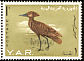 Hamerkop Scopus umbretta  1965 Birds 