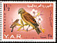 Yemen Linnet Linaria yemenensis  1965 Birds 