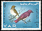 Violet-backed Starling Cinnyricinclus leucogaster  1965 Birds 