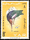 Northern Bald Ibis Geronticus eremita  1965 Birds 