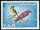 Violet-backed Starling Cinnyricinclus leucogaster  1966 Overprint POSTAGE DUE on 1965.01 