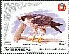 Peregrine Falcon Falco peregrinus  1969 Birds 