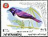 Violet-backed Starling Cinnyricinclus leucogaster  1969 Birds 