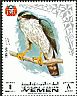 Northern Goshawk Accipiter gentilis  1969 Birds 
