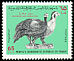 Helmeted Guineafowl Numida meleagris  1971 Birds 4v set