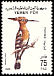 Eurasian Hoopoe Upupa epops  1988 Birds 