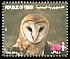 Western Barn Owl Tyto alba