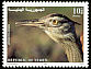 Arabian Bustard Ardeotis arabs  1998 Birds of Yemen 
