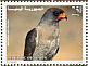 Dark Chanting Goshawk Melierax metabates  1998 Birds of Yemen Sheet