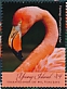American Flamingo Phoenicopterus ruber  2019 Flamingos Sheet