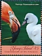 American Flamingo Phoenicopterus ruber  2019 Flamingos Sheet