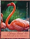 American Flamingo Phoenicopterus ruber  2019 Flamingos Sheet