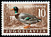 Mallard Anas platyrhynchos  1958 Yugoslav game birds 