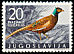 Common Pheasant Phasianus colchicus  1958 Yugoslav game birds 