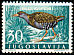 Water Rail Rallus aquaticus  1958 Yugoslav game birds 