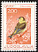 European Greenfinch Chloris chloris  1968 Song birds 