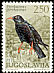 Red-billed Chough Pyrrhocorax pyrrhocorax  1972 Birds 