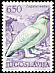 Rock Ptarmigan Lagopus muta  1972 Birds 