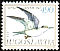Little Tern Sternula albifrons  1980 Adriatic sea fauna 4v set