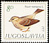 Spanish Sparrow Passer hispaniolensis