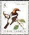 Woodchat Shrike Lanius senator