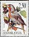 European Robin Erithacus rubecula  1997 Nature protection Strip